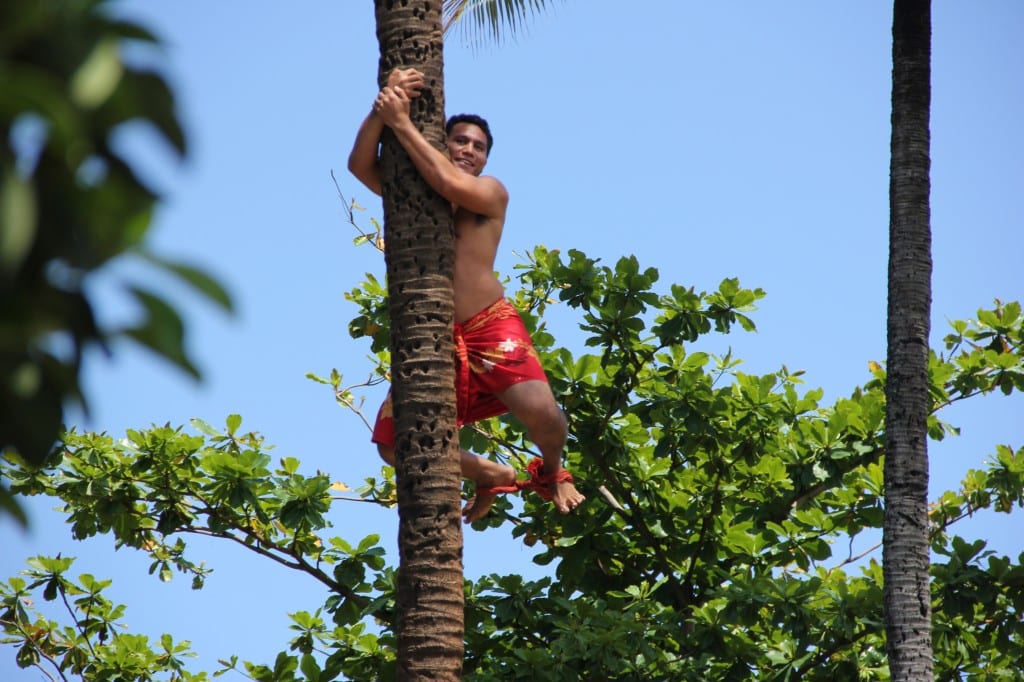Polynesian Cultural Center