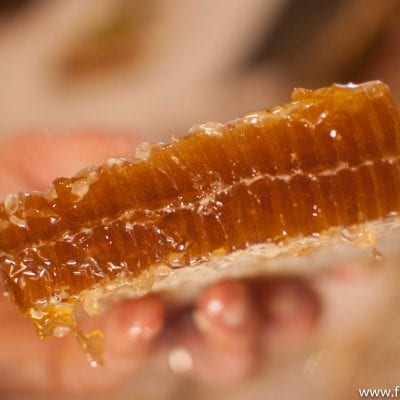 Lucky to have had a chunk of pure, fresh manuka honey in New Zealand