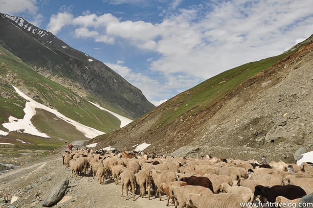 On the way to Kargil from Sonmarg