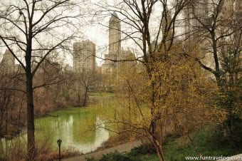 A visual escape to Central Park