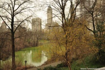 A visual escape to Central Park