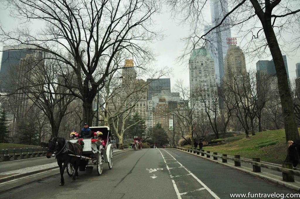 Central Park_Fun Travelog-4