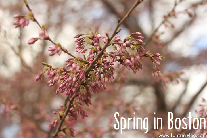 Spring in Boston / funtravelog.com