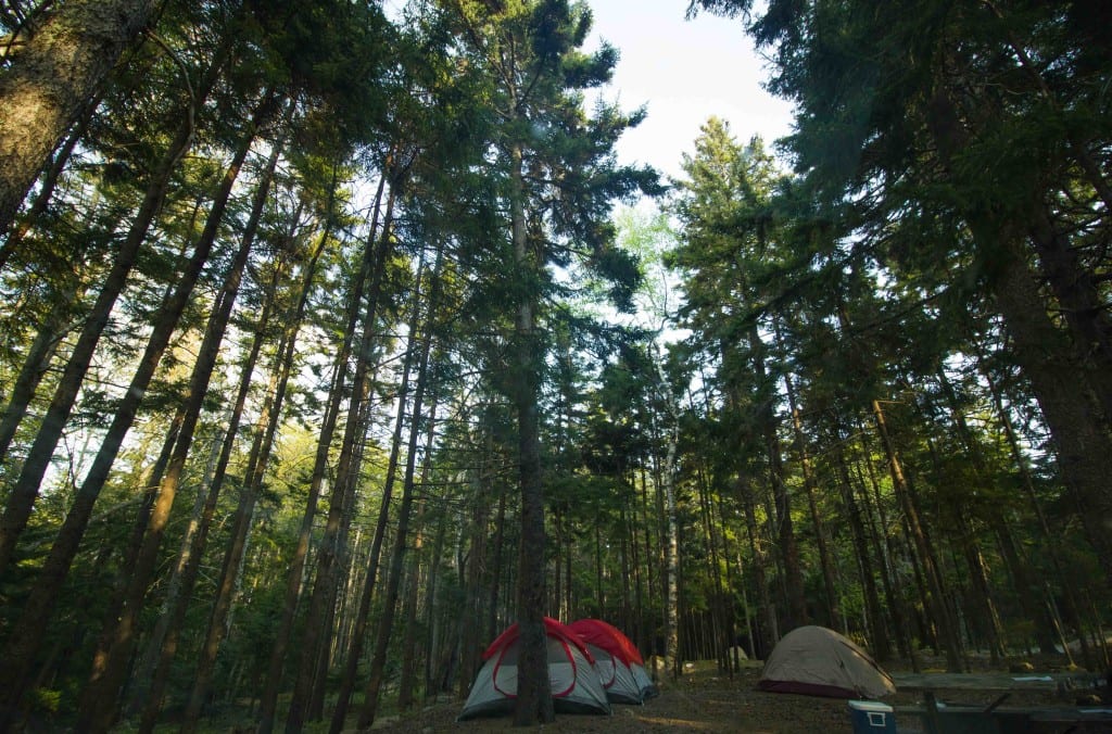 Acadia_camping-2-2
