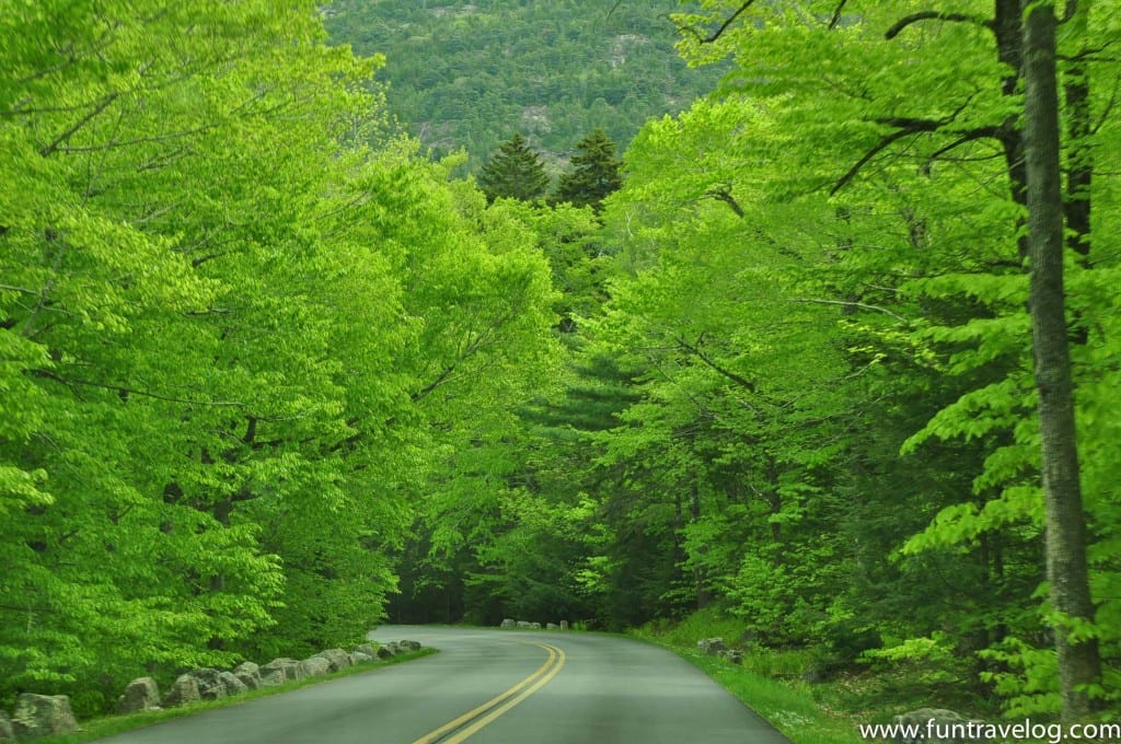 Driving up to the Cadillac Mountain in Acadia NP