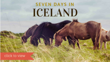 Iceland #2: What to see and do in seven days