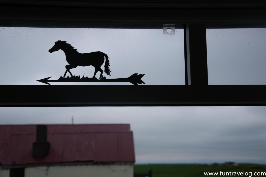 Iceland-Horse-Farm-1