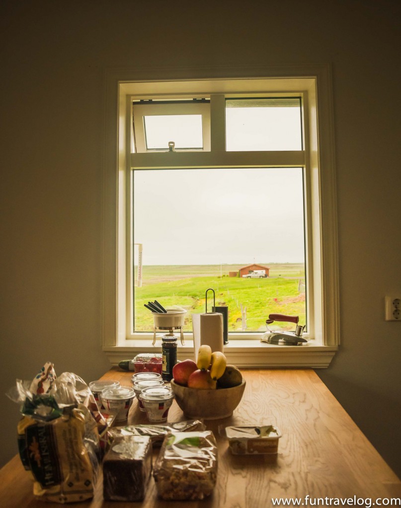 Iceland-Horse-Farm-2