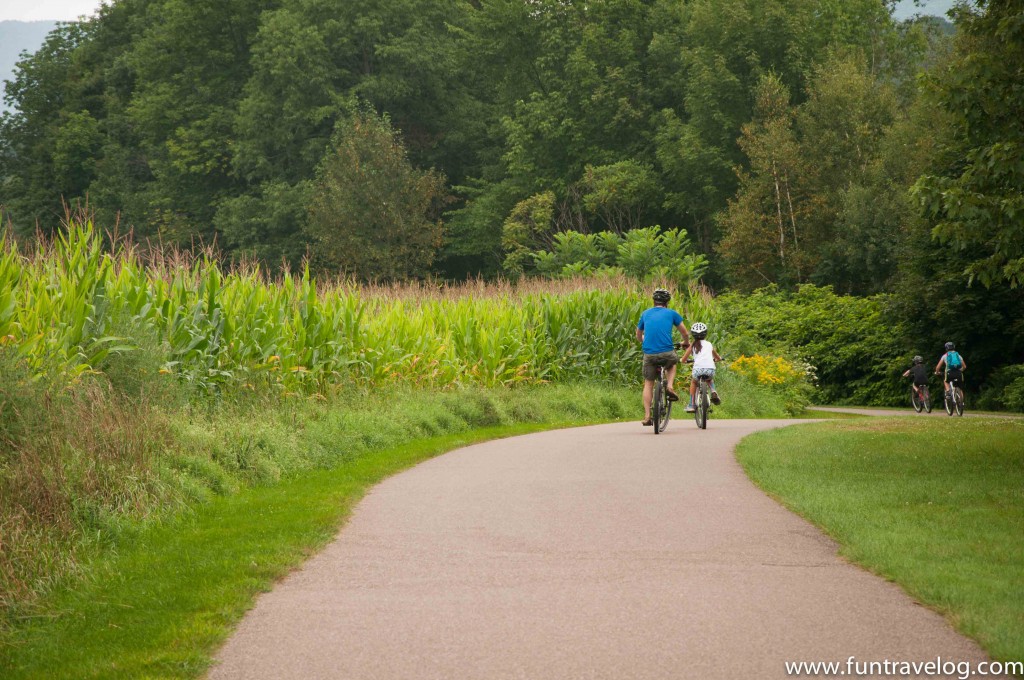 Biking by corn fields in Vermont