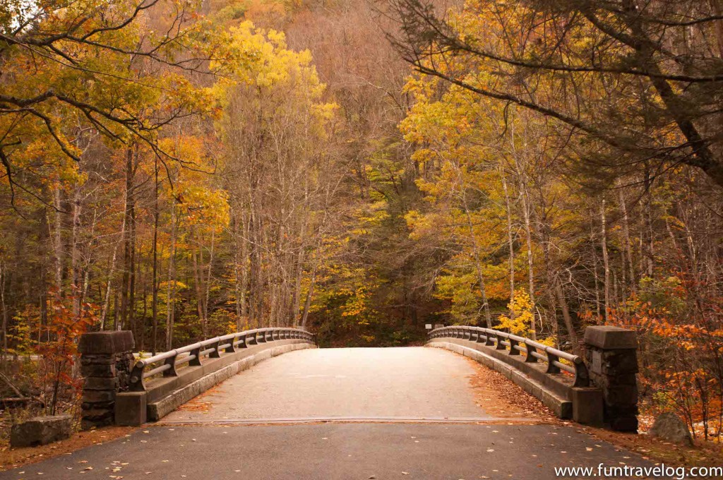 At the entrance bridge of Mohawk Trail State Forest surrounded by fall colors