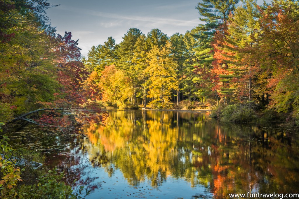 New England Fall