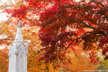 Leaf-Peeping around New England