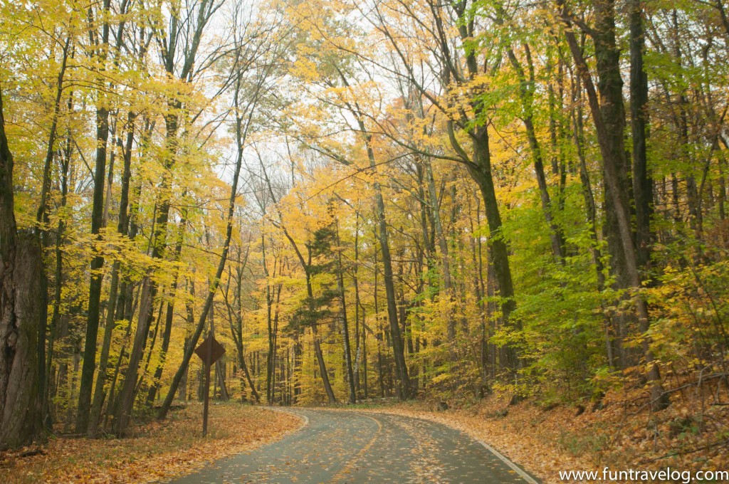 On the road to the top of Mount Greylock