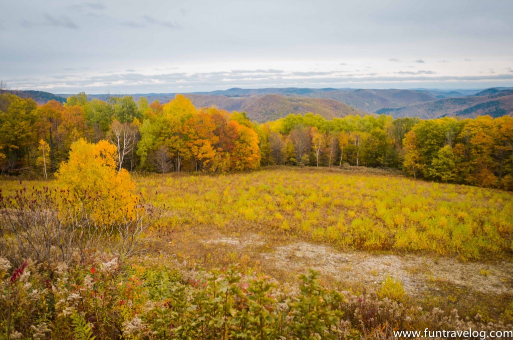 Mohawk Trail in all its fall glory
