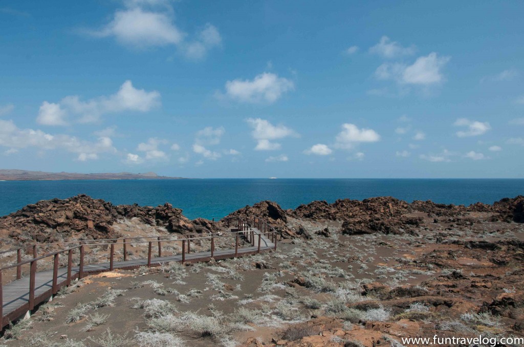 Galapagos_story-12