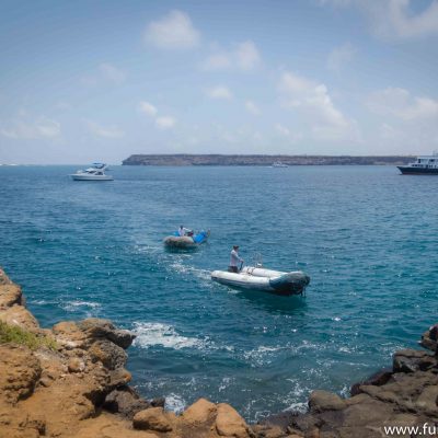 Watching our panga boat coming to pick us up after a mid-day excursion