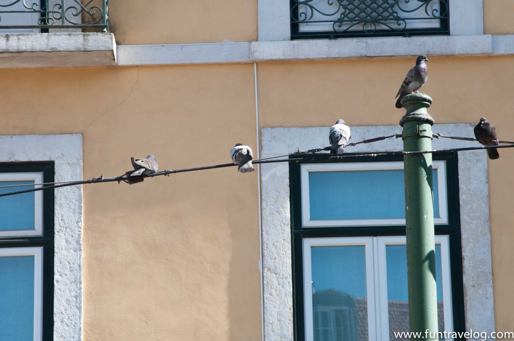 Lisbon-streets-1