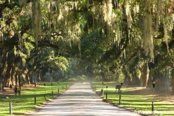 A long weekend in Charleston