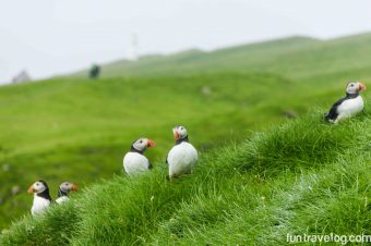 On the trail to Holmur Lighthouse, Mykines