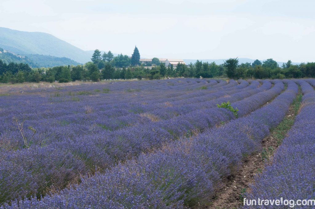 Provence-15