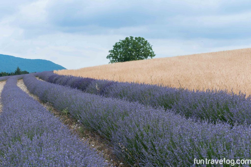 Provence-18