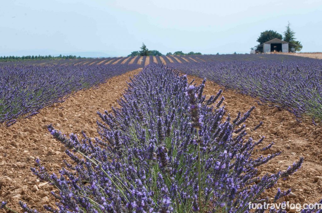 Provence-9