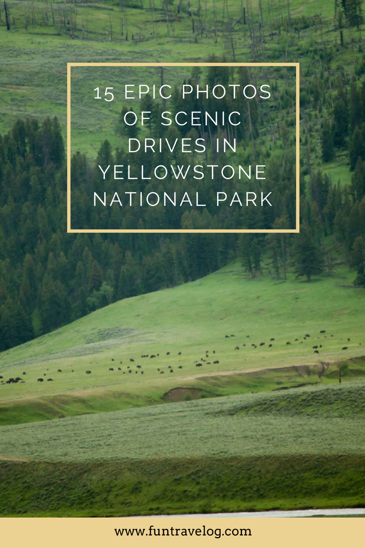 15 epic photos of scenic drives in Yellowstone National Park