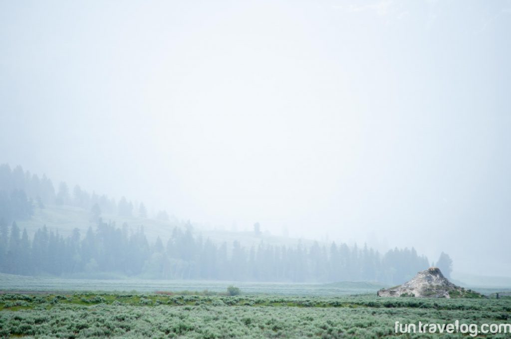 Epic Yellowstone National Park drives: Lamar Valley 