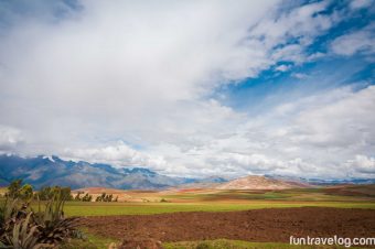 A Peruvian Odyssey