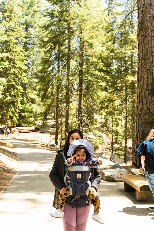 Carrying our daughter in the baby carrier to see General Sherman Tree