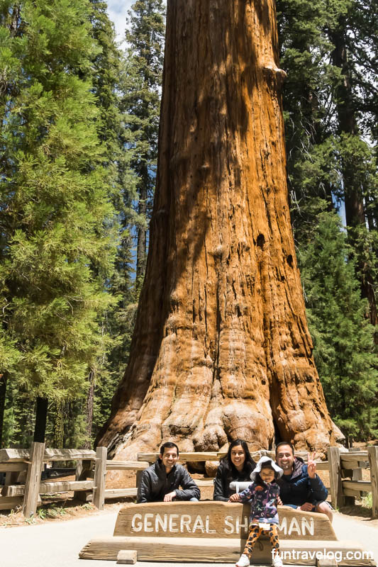 Our family posing in front of General Sherman Tree, the largest tree by volume, in Sequoia National Park
