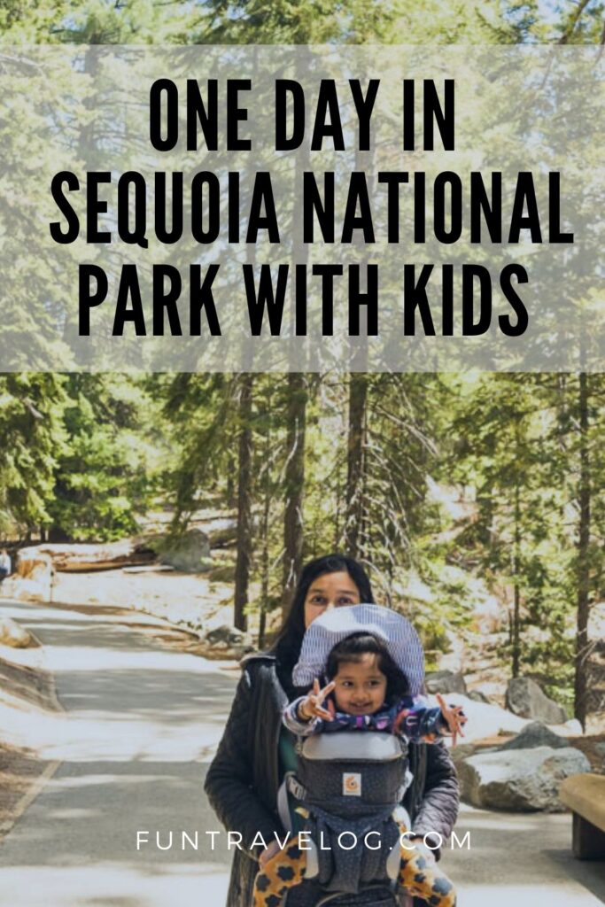Pinterest Image for One day in Sequoia National Park with kids 