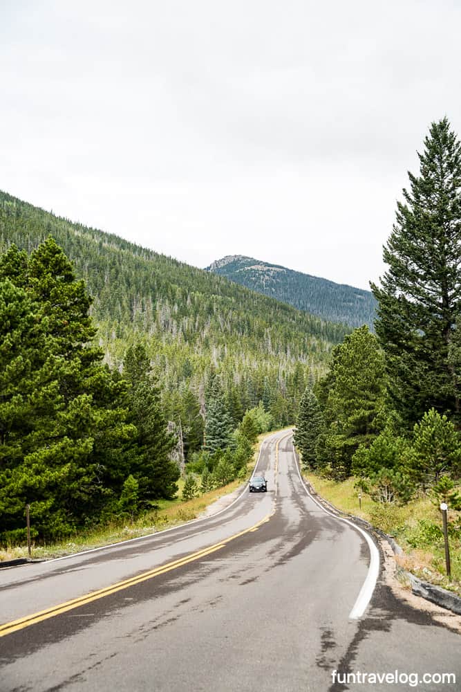 Road surrounded by greenery