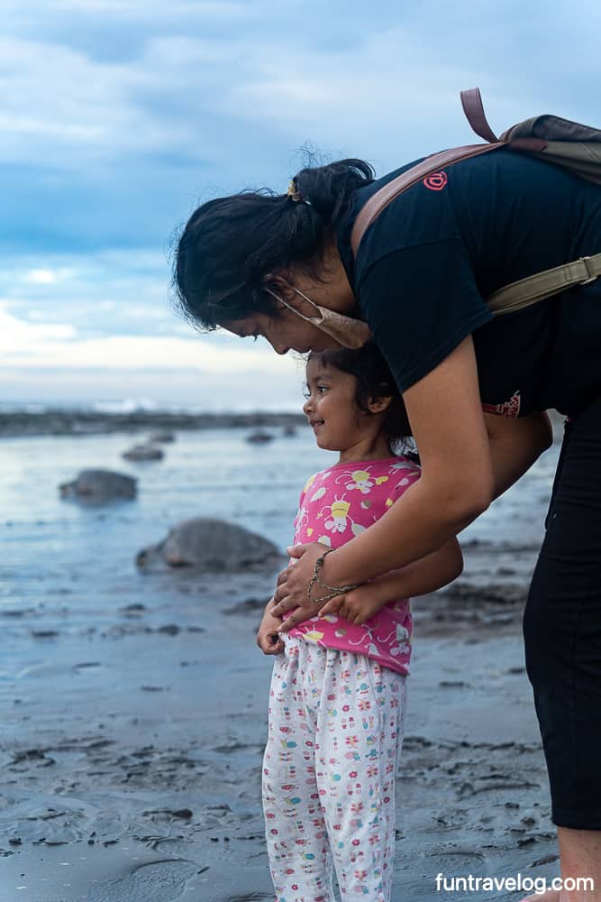 Raahi and Supriya surrounded by sea turtles in Ostional. You can also volunteer to save Costa Rica turtles.