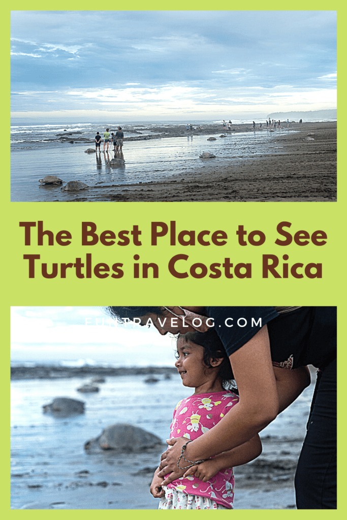 Pinterest image for blog on the best place to see turtles in Costa Rica