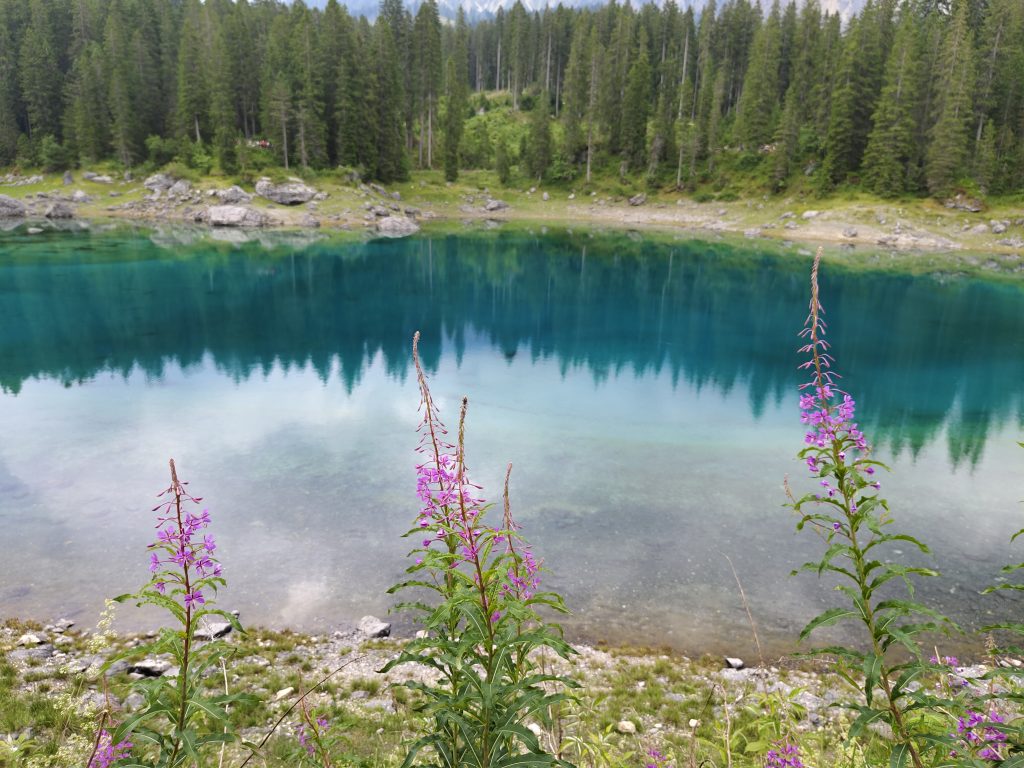 Dolomites_Lago di Carezza