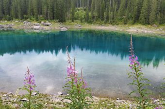 One Week Dolomites Itinerary with Kids